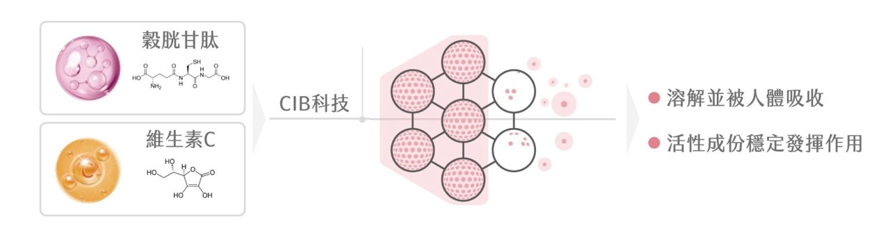 粉光瓶四重成分